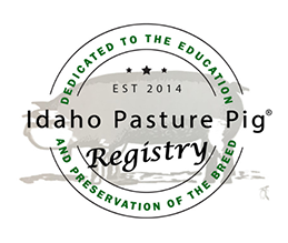 Idaho Pasture Pig
