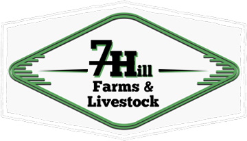 7 Hill Farms & Livestock - Your Go-To Spot for Buying & Selling Pigs